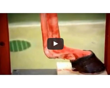Equine Tendons & Ligament Health