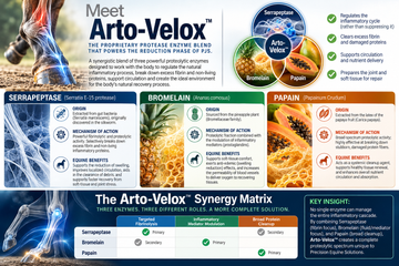 Arto Velox Enzyme blend