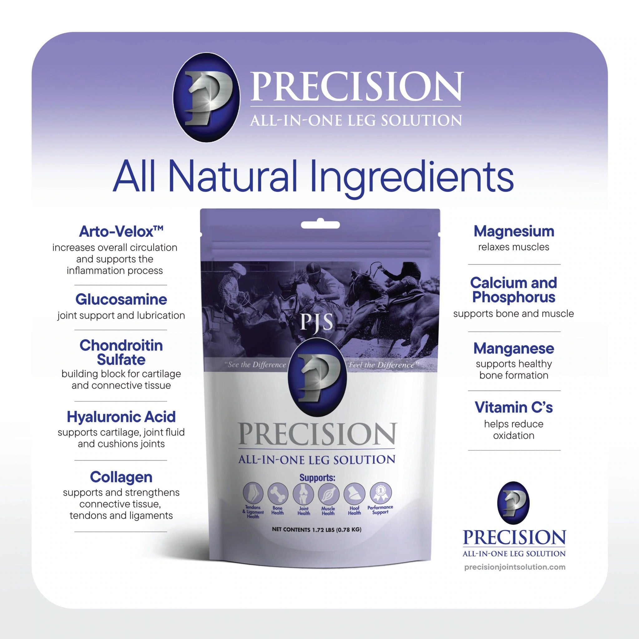 Comprehensive Care for Your Sport Horse: The Benefits of Precision ‘PJS’ All-In-One Leg Solution