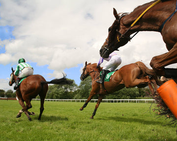 Why Every Sport Horse Needs Precision PJS: The Ultimate Joint and Leg Support