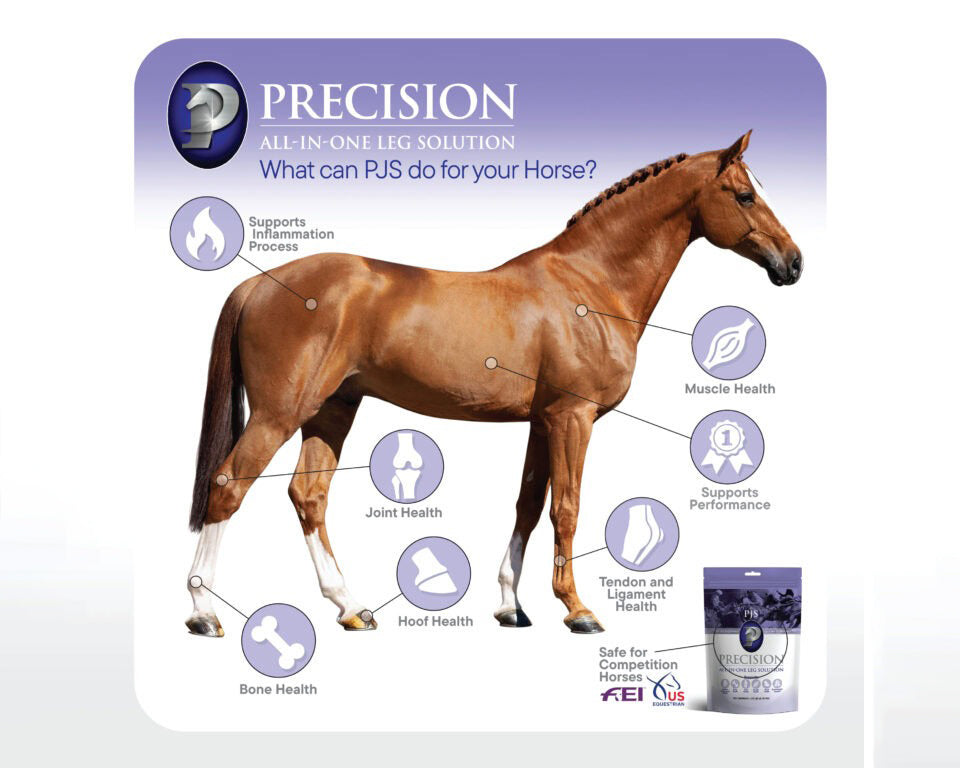 From the Inside Out: A Holistic Approach to Equine Leg Health with Precision Joint Solution