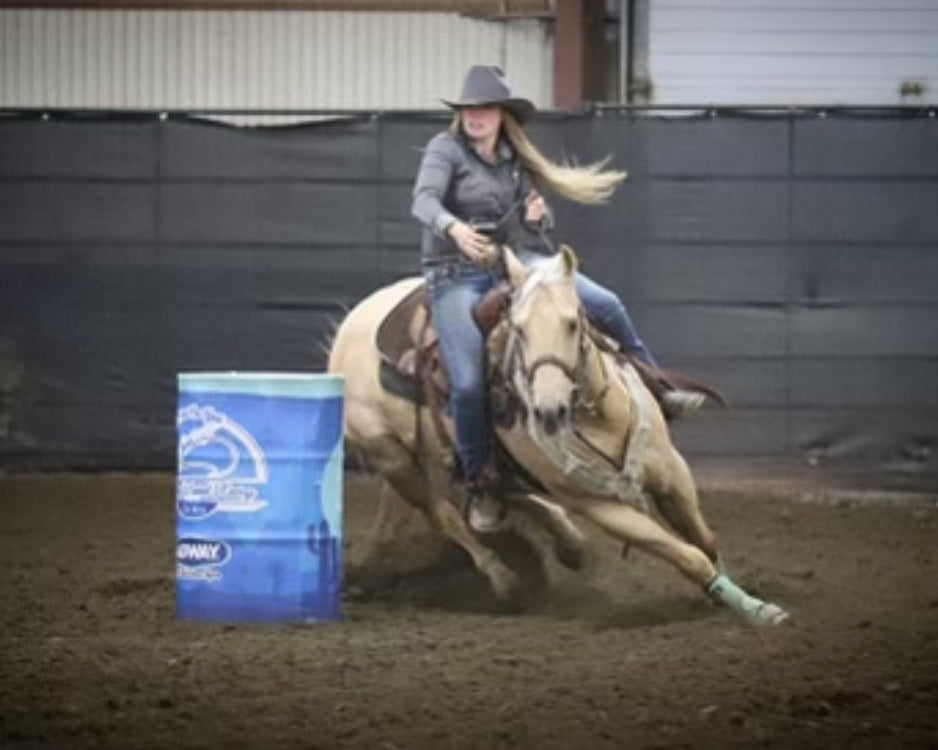 Precision Challenge: 13 yr old QH Sparky DDFT Strain