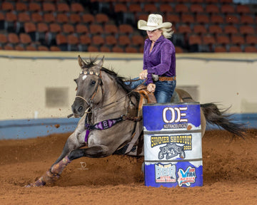 Stifle Support 101: Keeping Your Horse Performance Ready