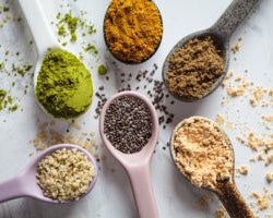 Arto Velox Enzymes: Transforming Equine Health with PJS