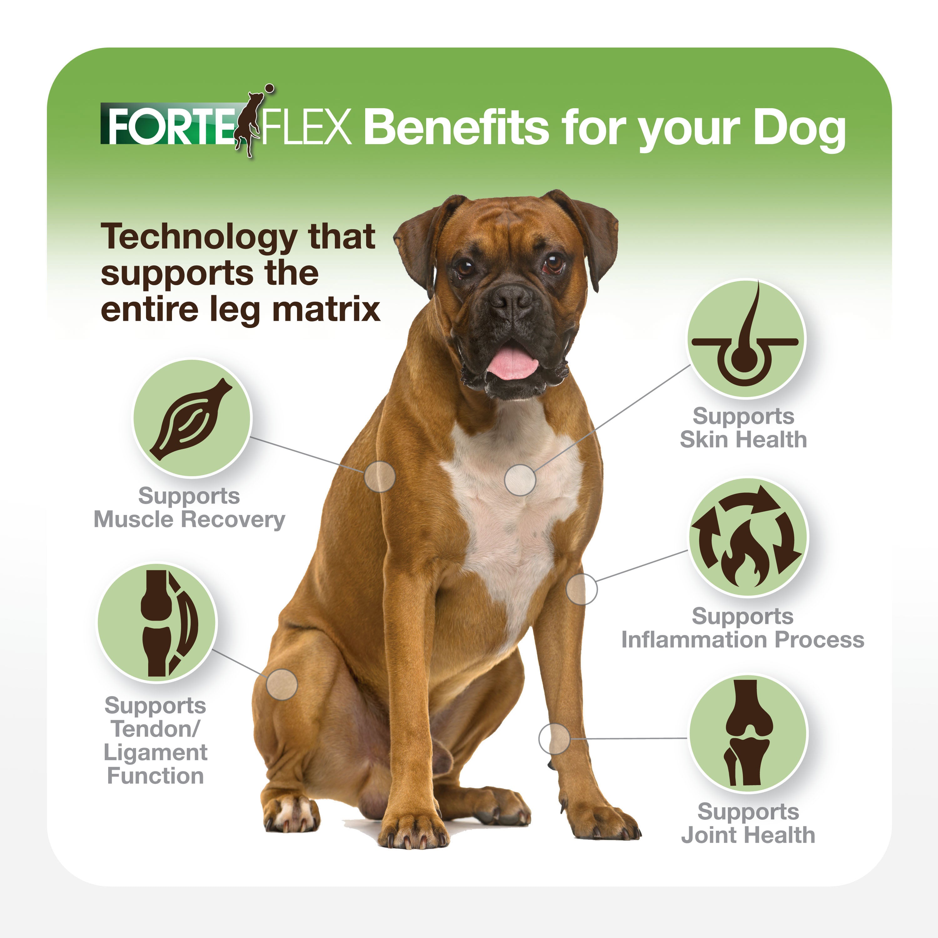 Forte Flex K9