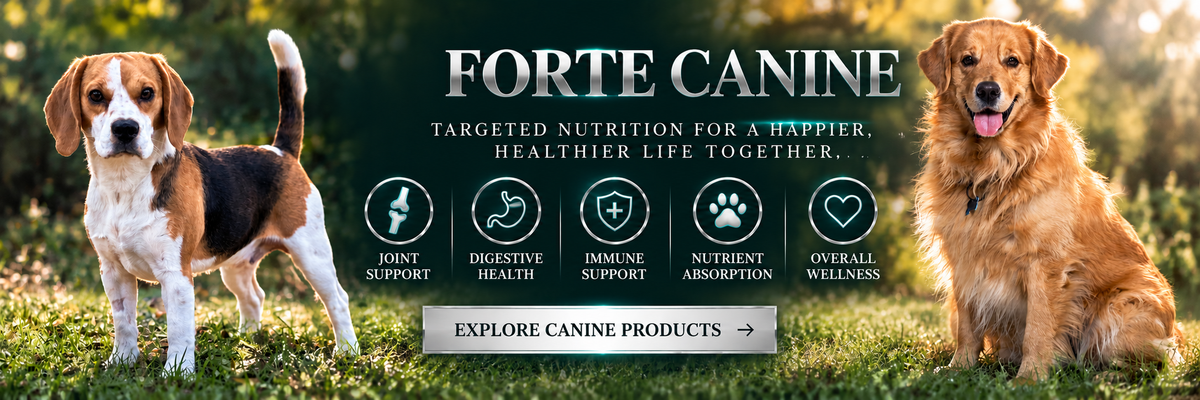 Forte Canine: targeted nutrition for a happier, healthier life together. Joint support, digestive health, immune support, nutrient absorption, overall wellness.