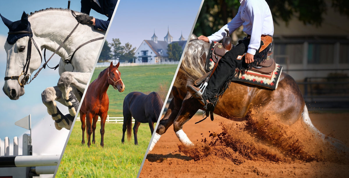 Precision nutrition.
Whole‑animal wellness.