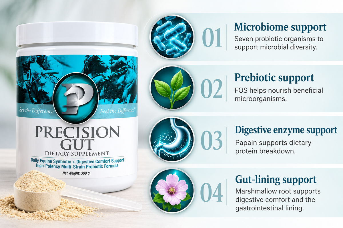 Precision Gut Daily Equine Synbiotic + Digestive Comfort Support