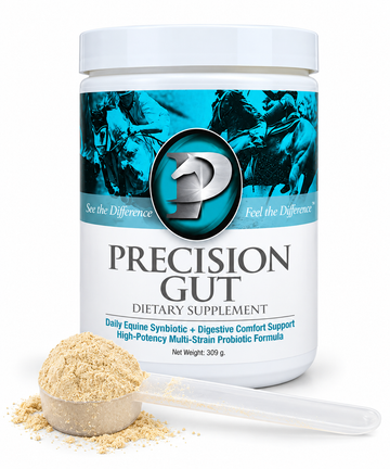 Precision Gut Daily Equine Synbiotic + Digestive Comfort Support