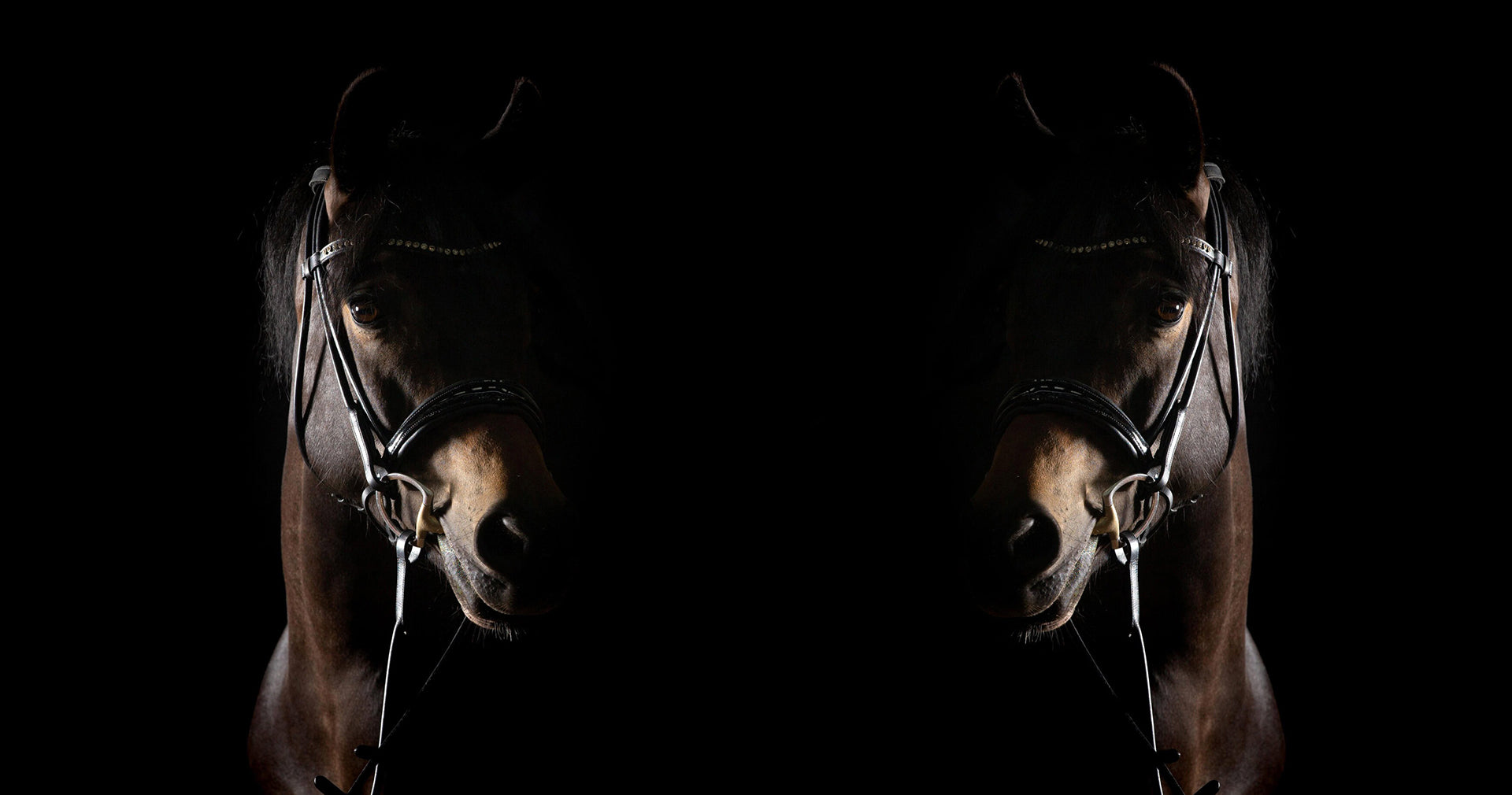 slider image slider_item_mpknnE