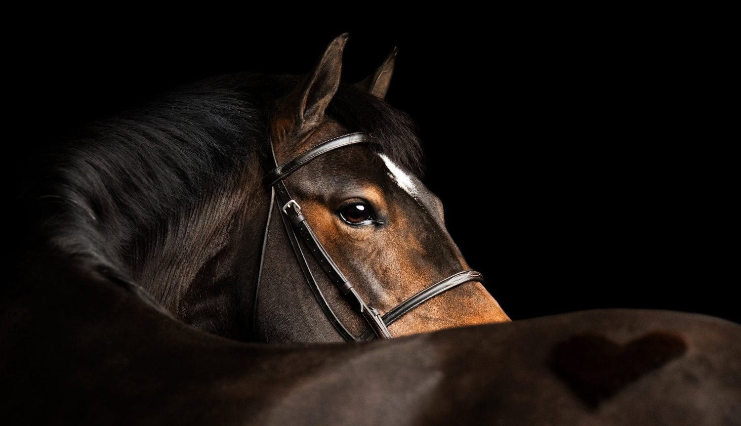 slider image 1621243260e1af0c20-0