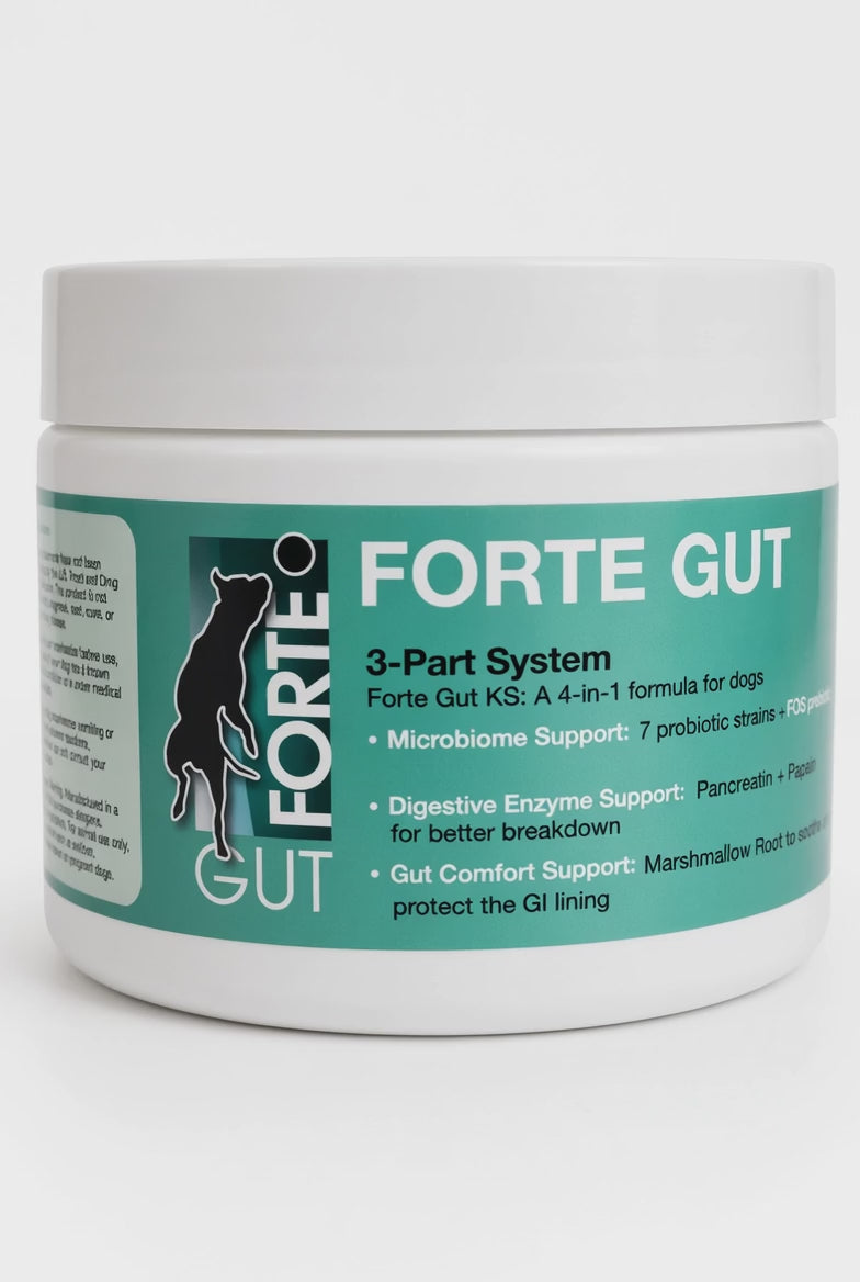 Forte Gut K9 Powder – 3-in-1 Gut Support for Dogs